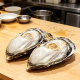Fresh Oysters On Half Shell