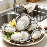 Fresh Oysters On Half Shell