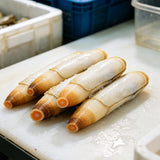 Fresh Razor Clams