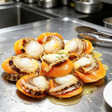 Fresh Scallops In Shell