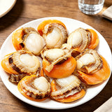 Fresh Scallops In Shell