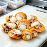 Fresh Scallops In Shell